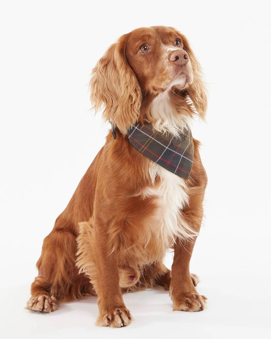 Tartan Dog Bandana-Accessories-Uniquities