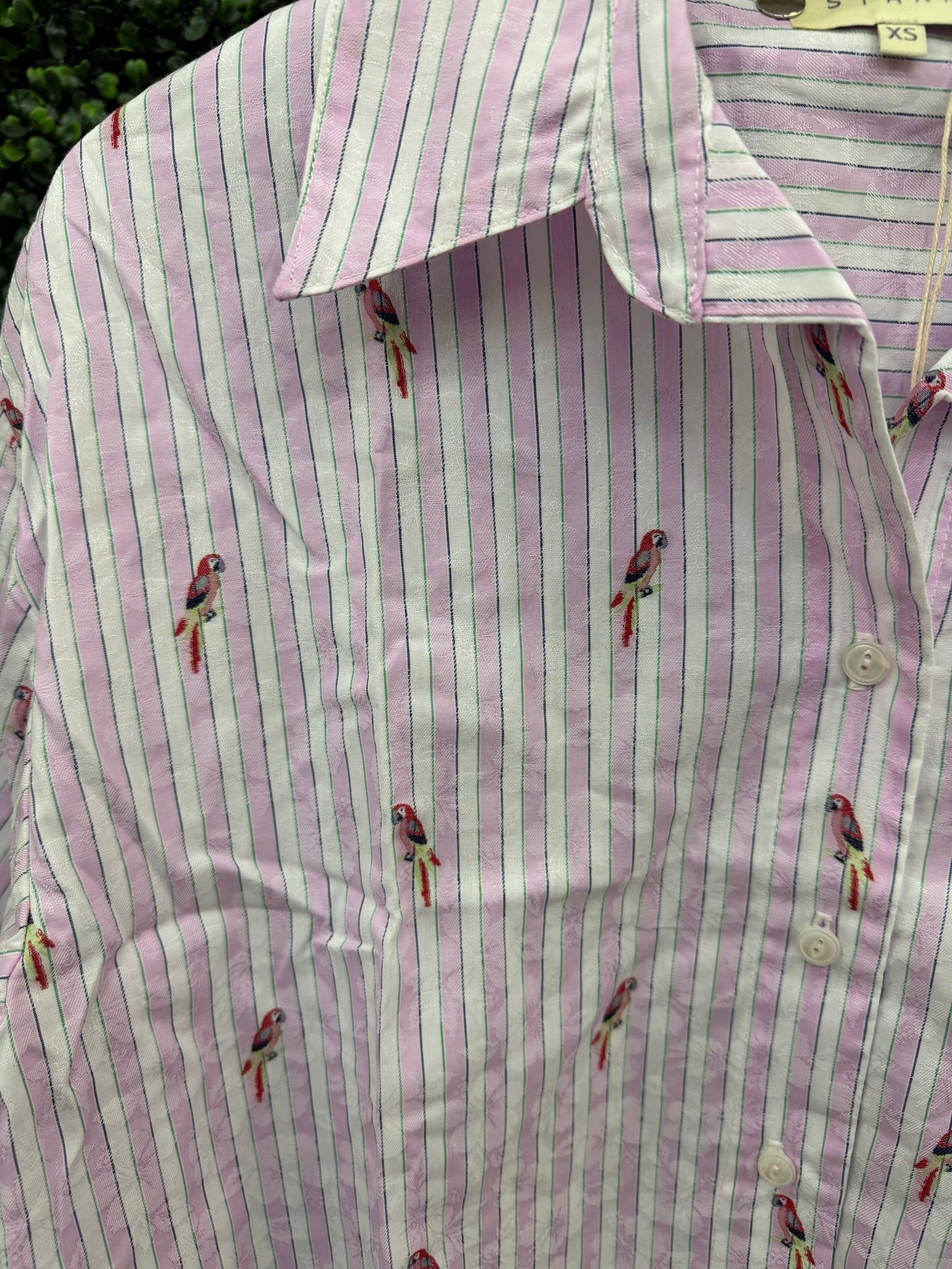 Carroll Top-Tops/Blouses-Uniquities