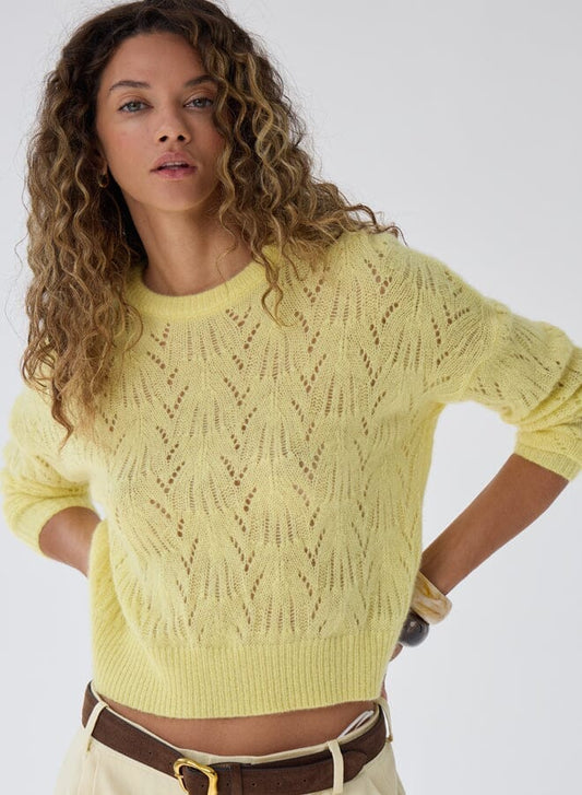 Allover Pointelle Crew-Sweaters-Uniquities