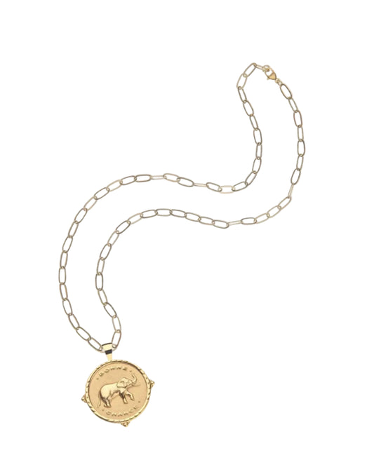 Lucky Pendant Coin Necklace-Jewelry-Uniquities