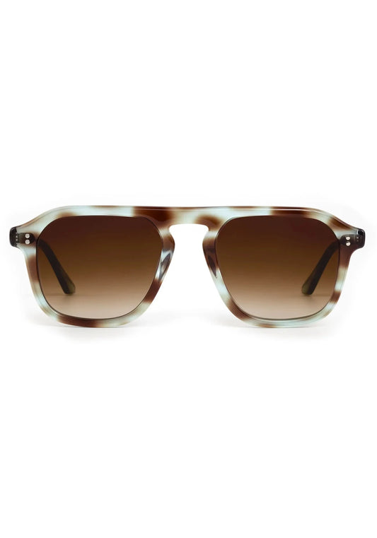 Zander Aqua Tortoise-Accessories-Uniquities