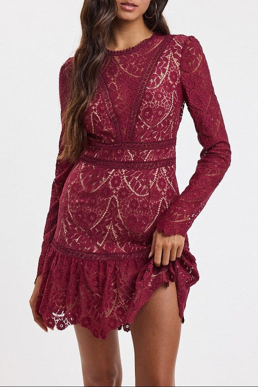 Embroidered Lace Mini Dress-Dresses-Uniquities