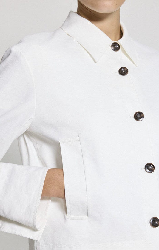 Crop Shirt Jacket-Jackets-Uniquities