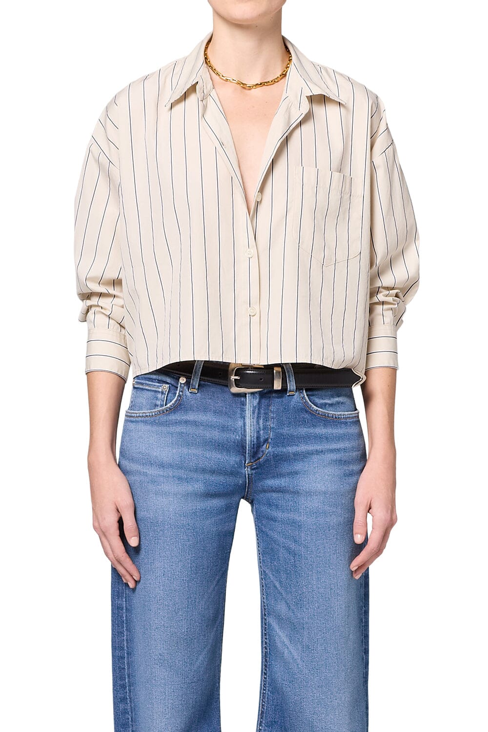 Petit Ami Shirt Ramble Stripe Tops/Blouses Citizens of Humanity