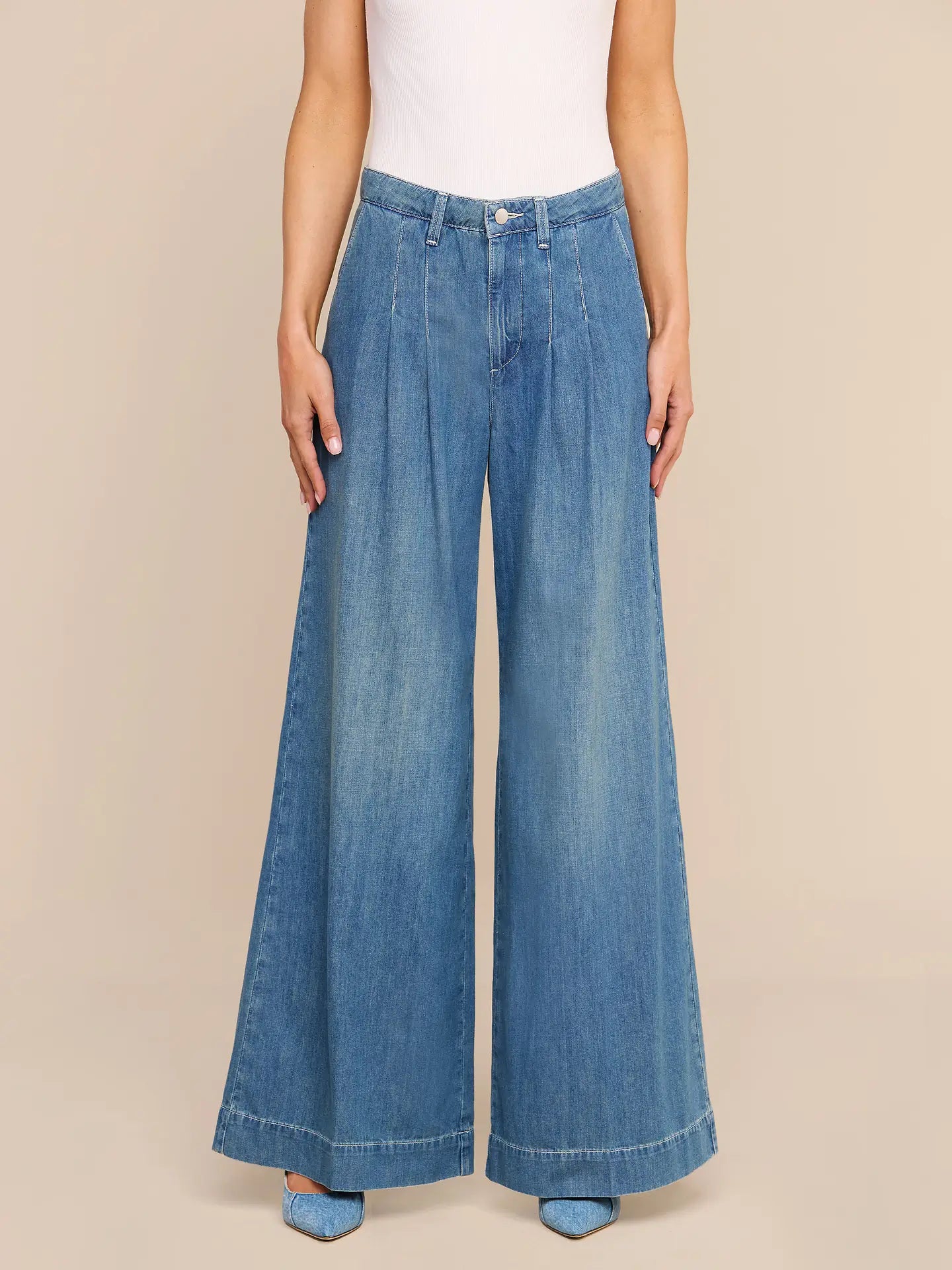 Jayani High RIse Pleated Wide Leg