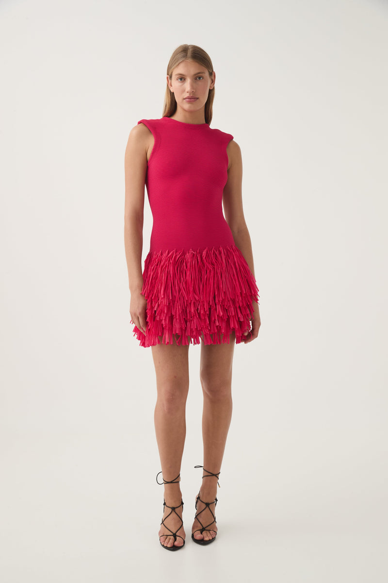 Rushes Fringe Knit Mini Dress-Dresses-Uniquities