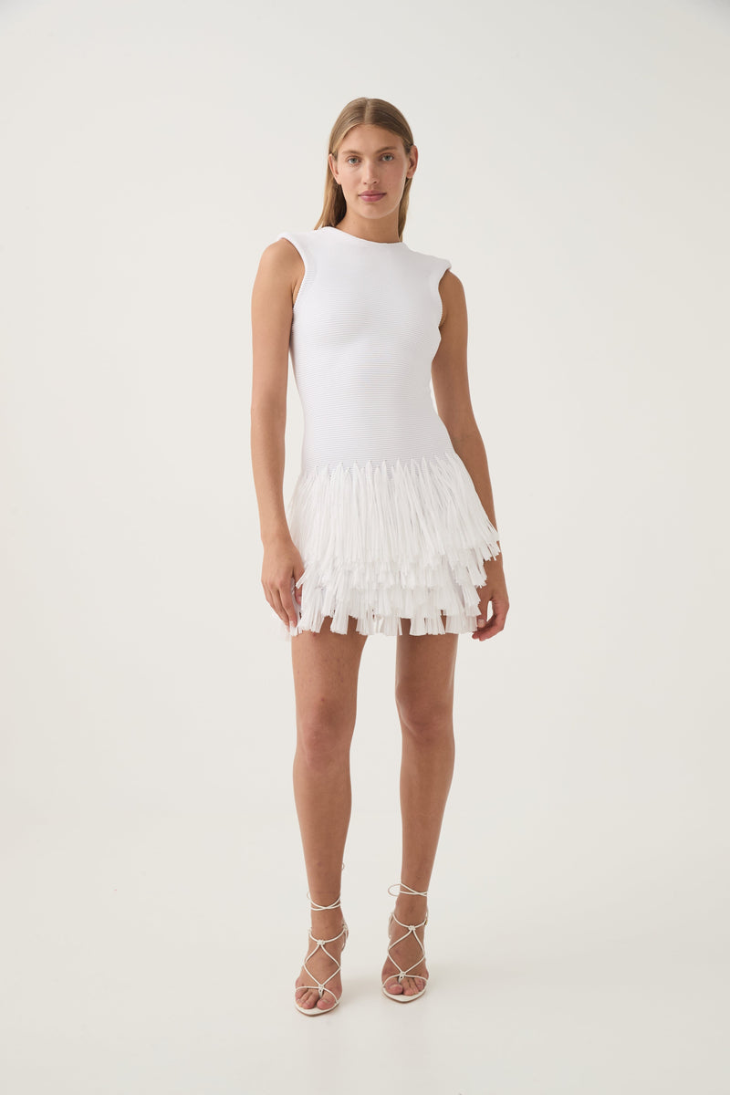 Rushes Fringe Knit Mini Dress-Dresses-Uniquities