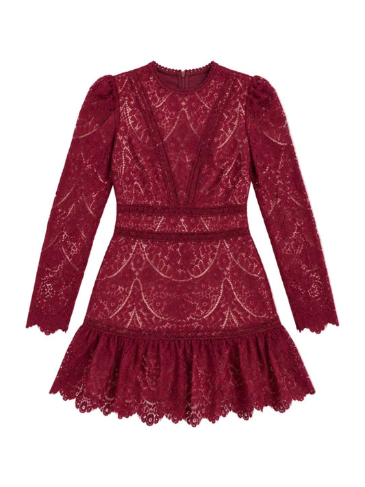 Embroidered Lace Mini Dress-Dresses-Uniquities