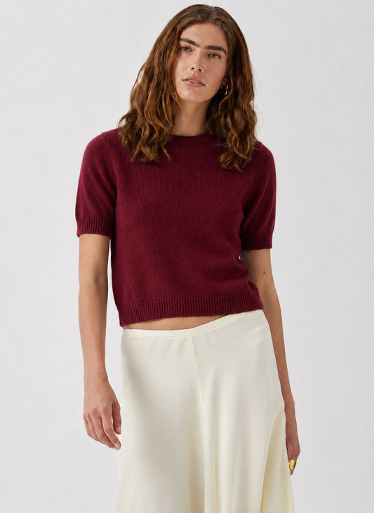 Short Sleeve Cropped Crew-Sweaters-Uniquities