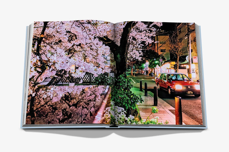 Kyoto Serenity-Home-Uniquities