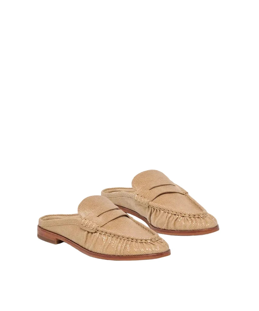 Betzy Mule by Dolce Vita Ftwr - Image 1