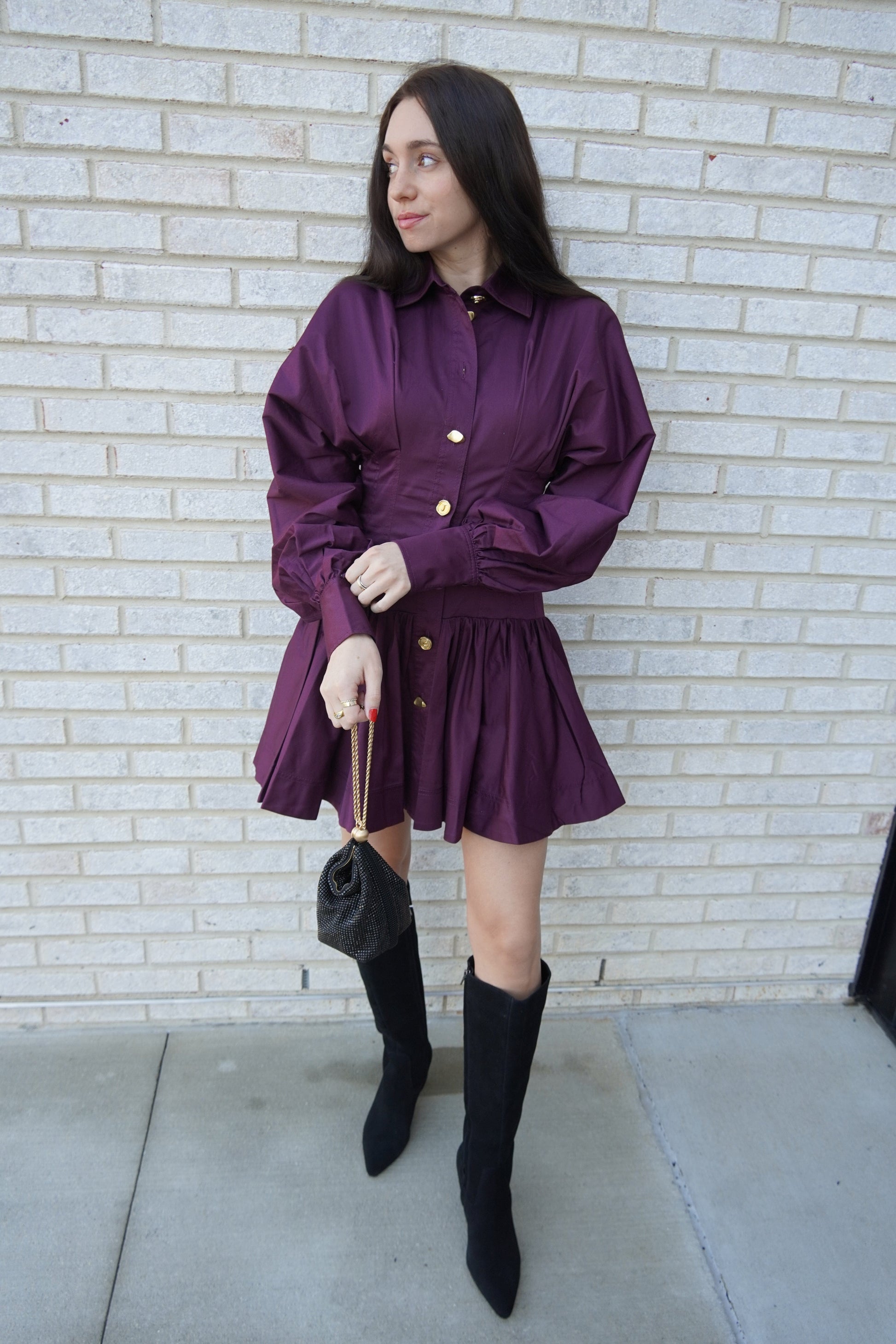 Alexa Long Sleeve Mini Dress-Dresses-Uniquities