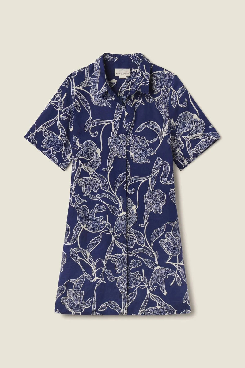 Dana Dress-Dresses-Uniquities