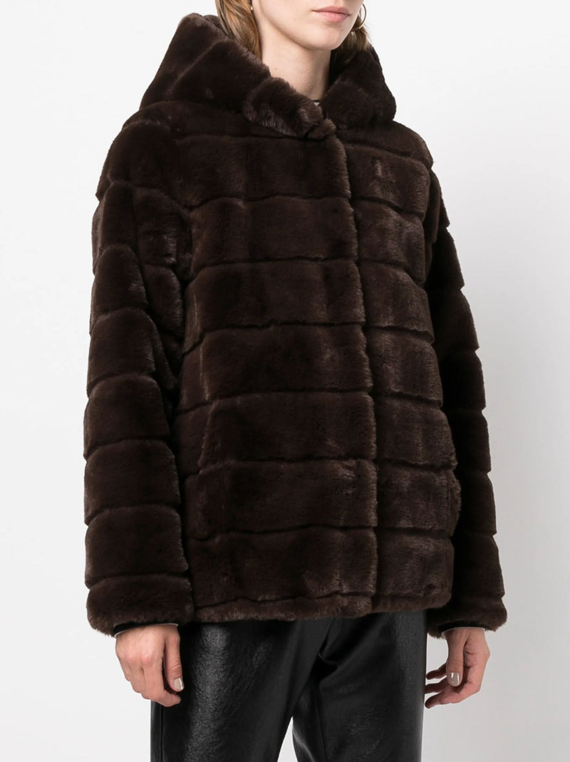 Goldy Hooded Coat-Jackets-Uniquities