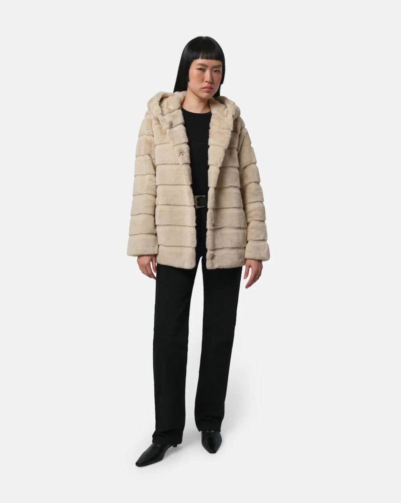 Goldy Hooded Coat-Jackets-Uniquities