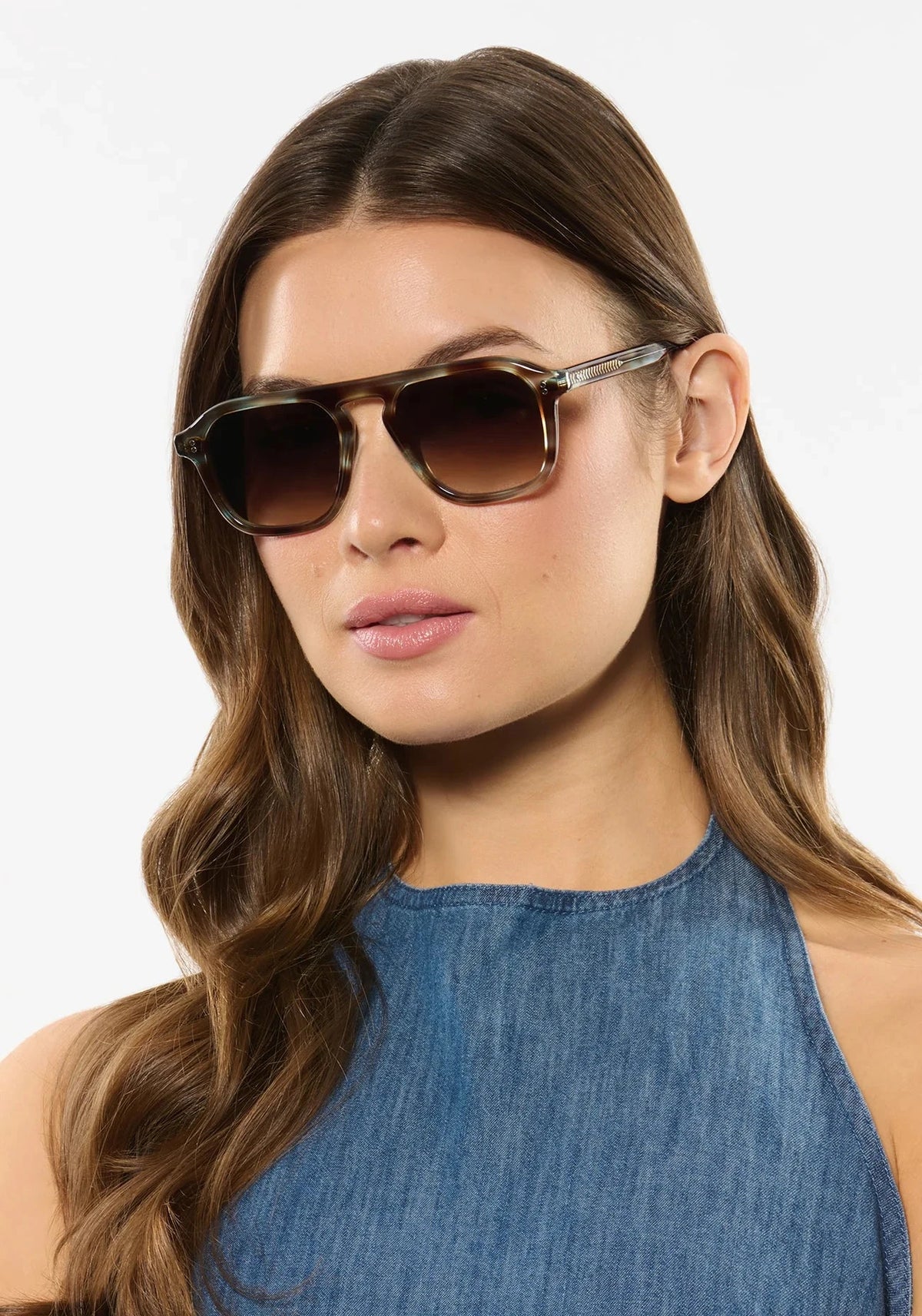 Zander Aqua Tortoise-Accessories-Uniquities