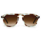 Zander Aqua Tortoise-Accessories-Uniquities