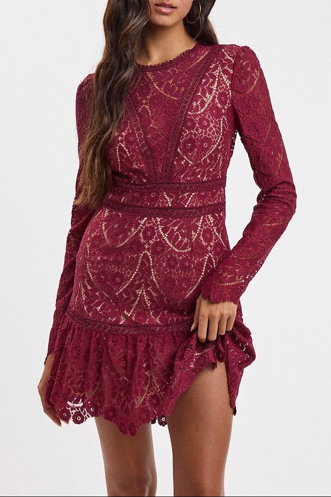 Embroidered Lace Mini Dress-Dresses-Uniquities